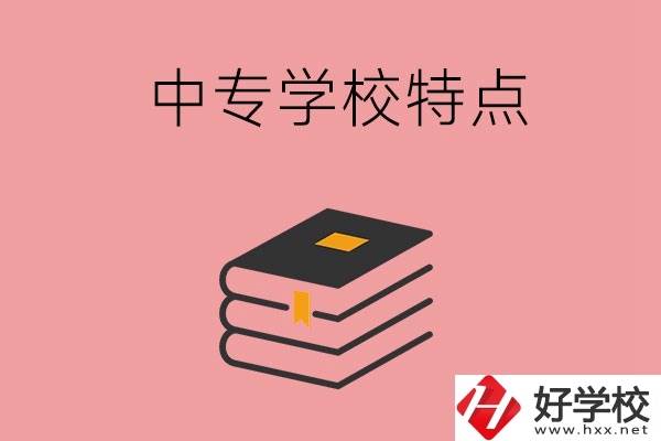 湖南省正規(guī)的中專學(xué)校，具備哪些特點？