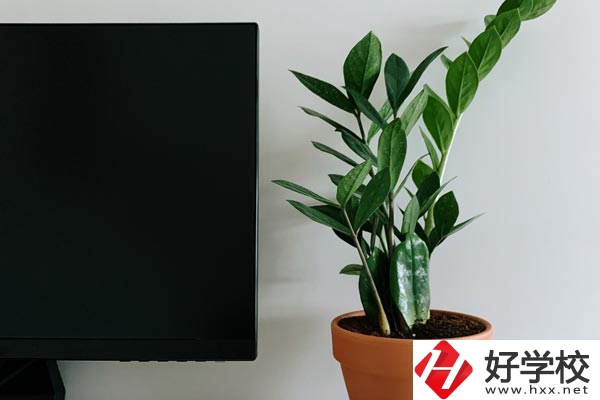 岳陽市網(wǎng)絡工程職業(yè)技術學校有哪些熱門專業(yè)？
