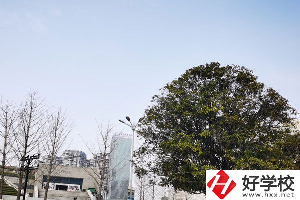 益陽科技工程學校有哪些專業(yè)？就業(yè)如何？