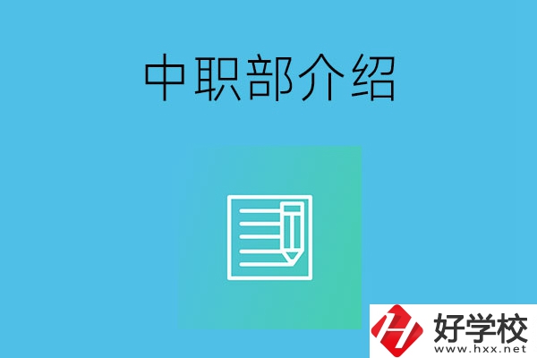 湘潭院校中職部介紹，這幾所學(xué)校你知道嗎？