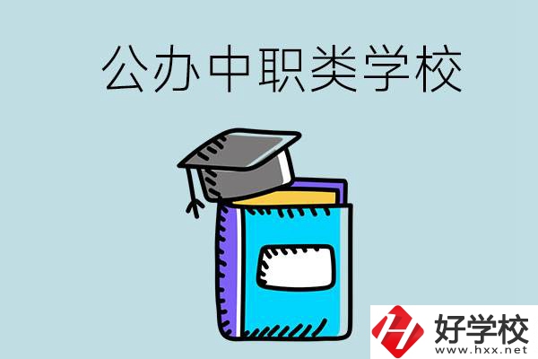 湘西的公辦中職類學校一共有多少所？