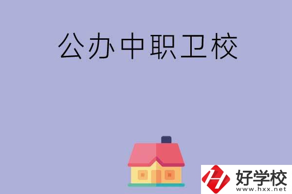 湖南公辦中職衛(wèi)校有哪些？這2所值得關(guān)注！