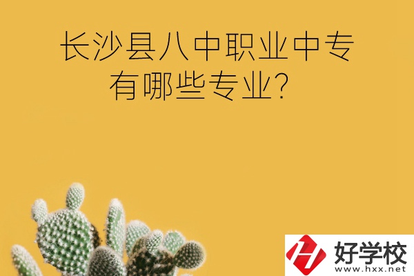 長沙縣八中職業(yè)中專好不好？有哪些專業(yè)？