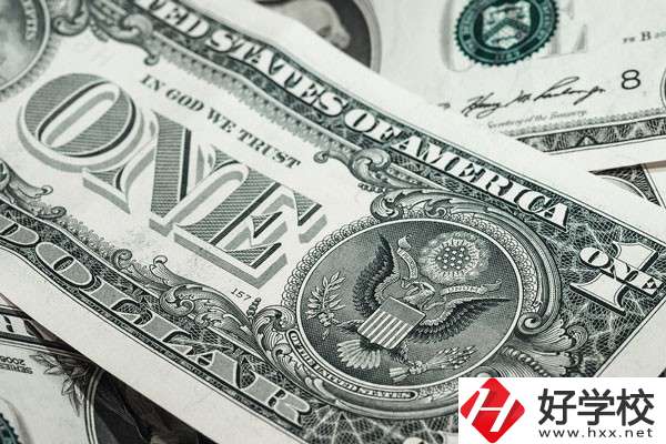 湖南的技校學(xué)費(fèi)貴嗎？有哪些補(bǔ)貼政策？