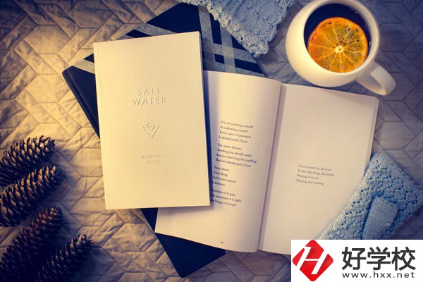 婁底技師學(xué)院有哪些專業(yè)？好就業(yè)嗎？