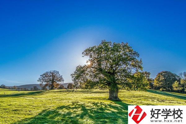 湘西旅游學(xué)校是一所怎樣的中專？