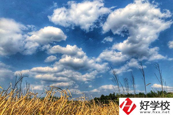 衡陽(yáng)市瀟湘衛(wèi)生中等專業(yè)學(xué)校有哪些特色專業(yè)？