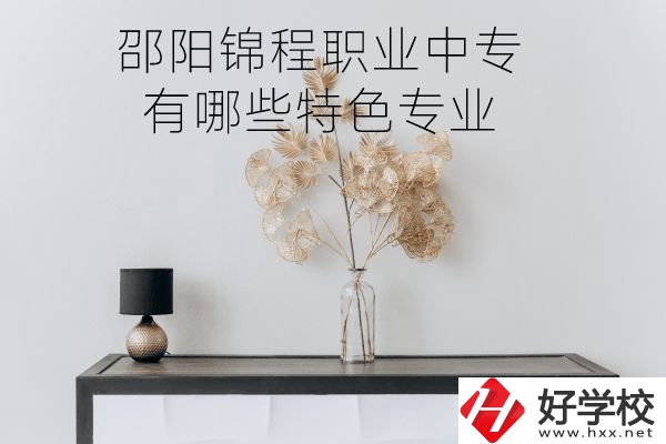 邵陽錦程職業(yè)中專有哪些特色專業(yè)？