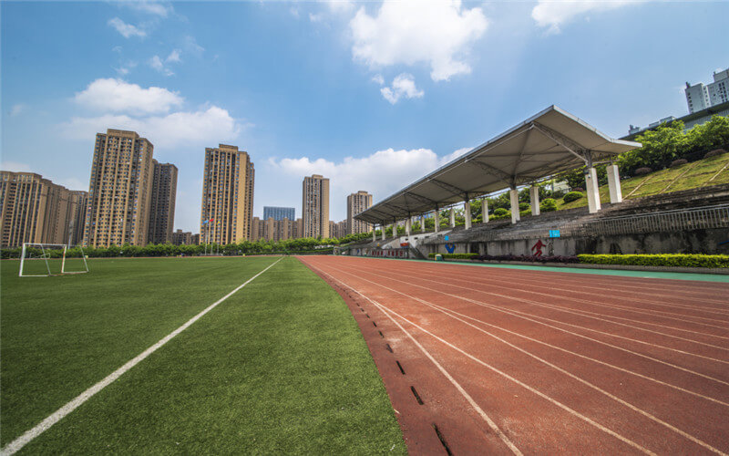 2024年鄭州市信息技術(shù)學(xué)校有哪些專(zhuān)業(yè)