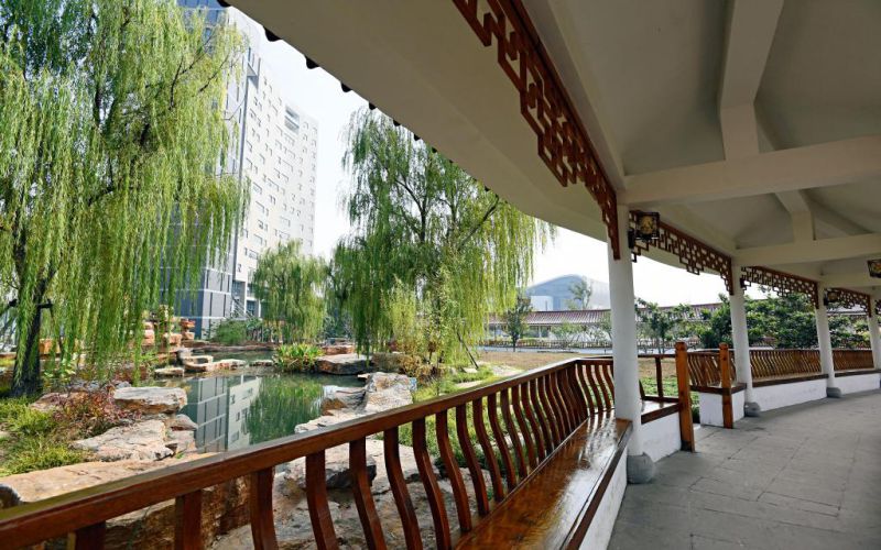 2024年石家莊市現(xiàn)代經(jīng)貿中等專業(yè)學校有哪些專業(yè)