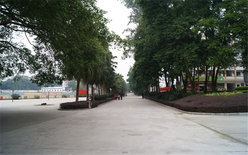 2024年興國(guó)縣職業(yè)中等專(zhuān)業(yè)學(xué)校有哪些專(zhuān)業(yè)