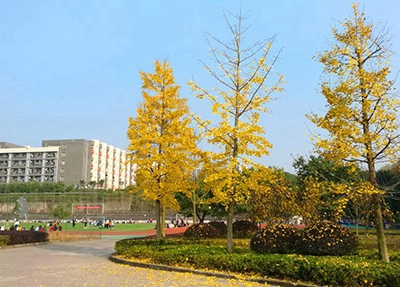 陜西護(hù)理專業(yè)學(xué)校招生