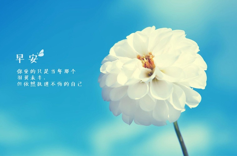 貴定中等職業(yè)學校2025年報名條件是什么