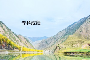 ?？瞥煽?jī)