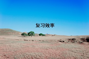 復(fù)習(xí)效率