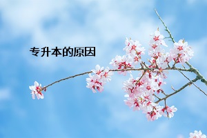 專升本的原因