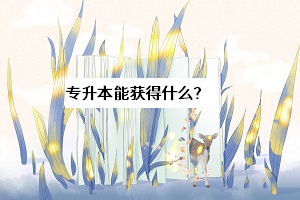 專升本能獲得什么？