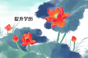 提升學歷
