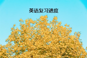 英語(yǔ)復(fù)習(xí)進(jìn)度