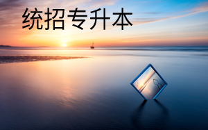 統(tǒng)招專升本