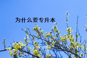 為什么要專升本