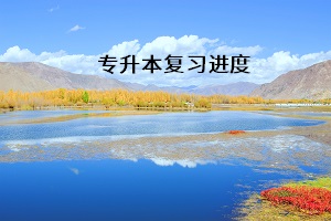 專升本復習進度