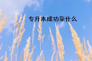 專(zhuān)升本成功靠什么