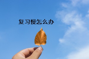 復習慢怎么辦