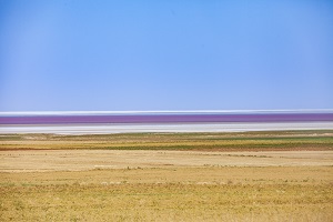 調整心態(tài)
