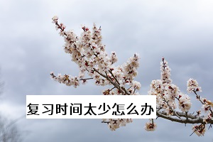 復(fù)習(xí)時(shí)間太少怎么辦