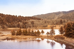 學(xué)習方法