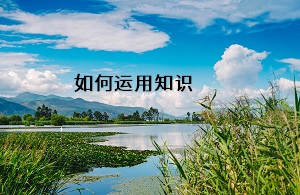 如何運(yùn)用知識(shí)