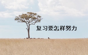 復習要怎樣努力