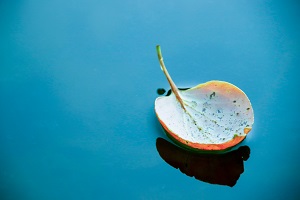 太在意曾經(jīng)的成績和榮耀