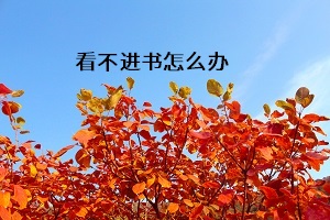 看不進(jìn)書怎么辦
