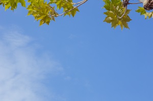 關(guān)鍵詞法背誦