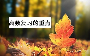 高數(shù)復(fù)習(xí)的重點(diǎn)