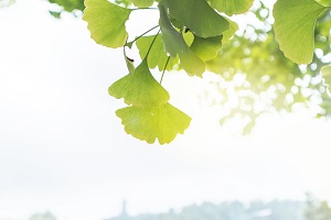 及時調(diào)整復(fù)習計劃