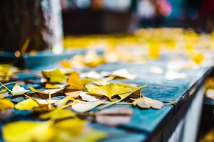 堅(jiān)持就是勝利