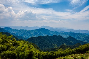 嚴(yán)格執(zhí)行計(jì)劃