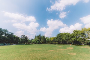 缺乏獨立思考