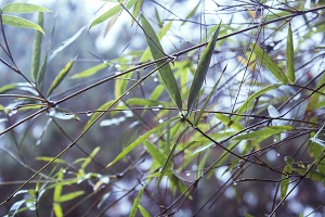 積極投入