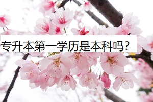 專升本第一學(xué)歷是本科嗎？