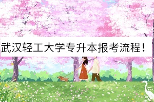 武漢輕工大學(xué)專升本報考流程