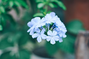 擴招后報考人數(shù)是否會激增？