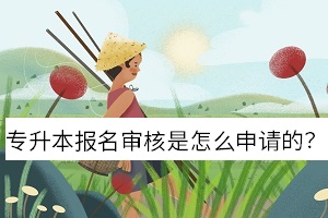 專升本報(bào)名審核是怎么申請的