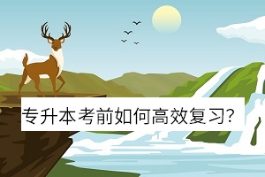 專升本考前如何高效復習