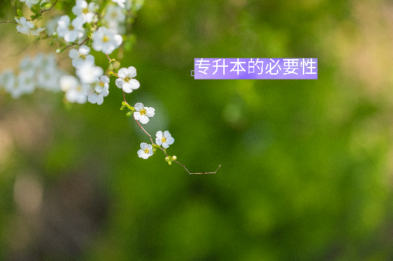 專(zhuān)升本必要性