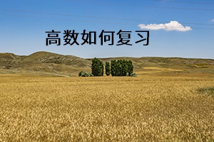 高數(shù)如何復習