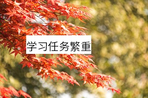 學習任務(wù)繁重 學習任務(wù)繁重
